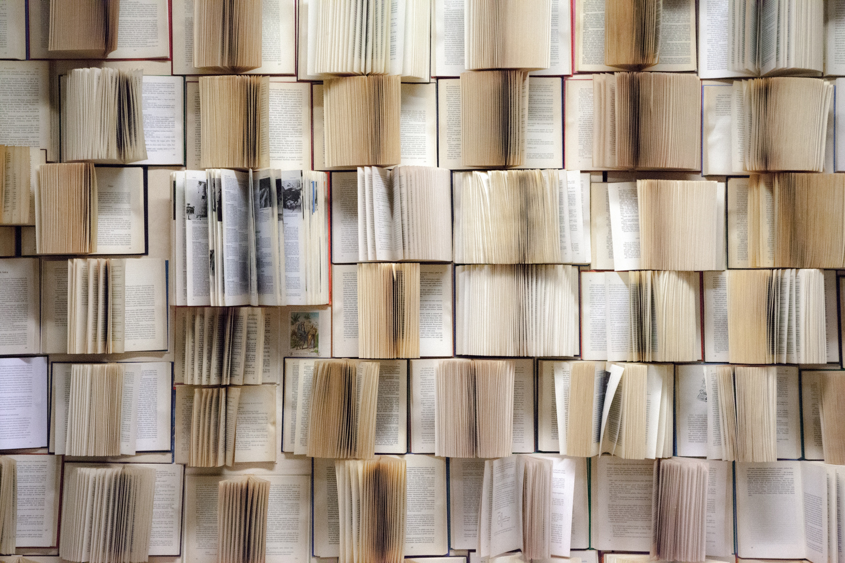 Wall Filled with Books